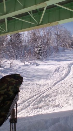100131_1039~01.jpg