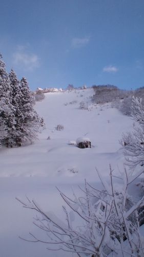 100126_1009~01.jpg