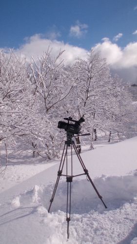 100126_1033~01.jpg