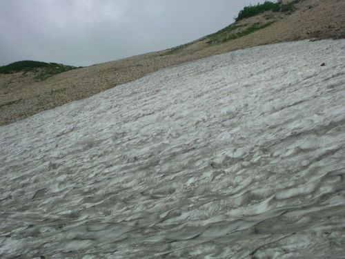 SN3D0035.jpg