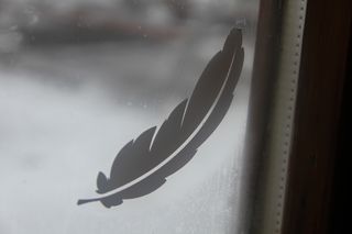 IMG_6726