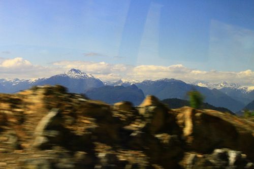 IMG_5519